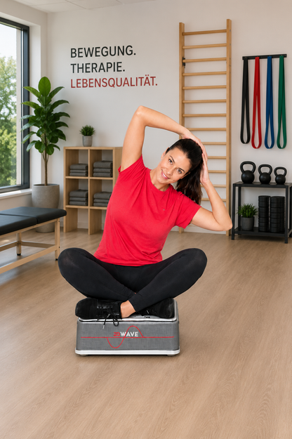 SiWAVE MULTI BASIC Vibrationsplatte
